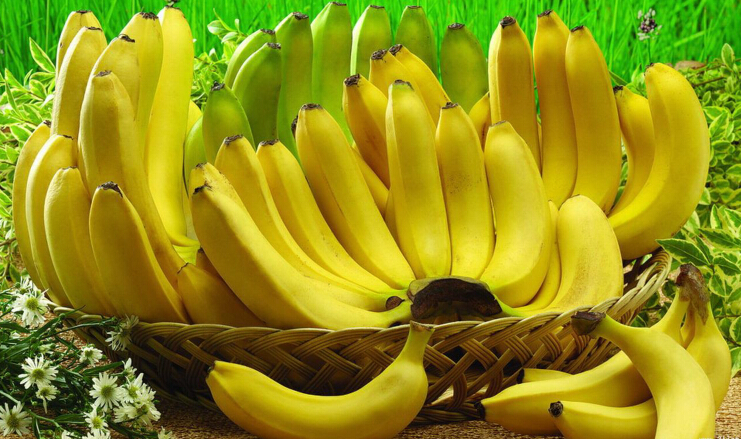 Banana--King of fruit